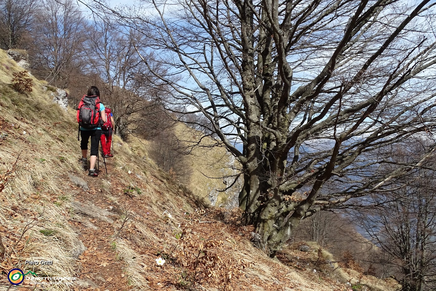 56 Ci inerpichiamo verso la cima del Pizzo Grande.JPG